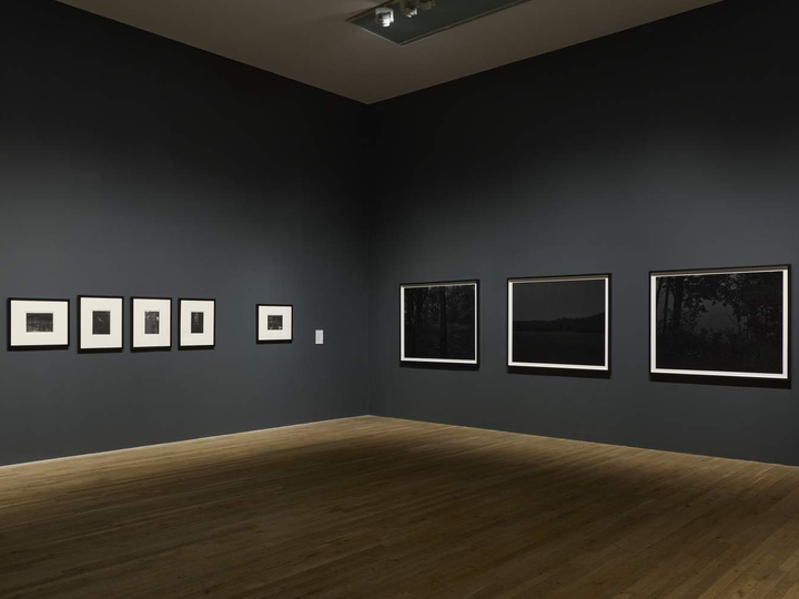 Dawoud Bey in Poetics of Blackness