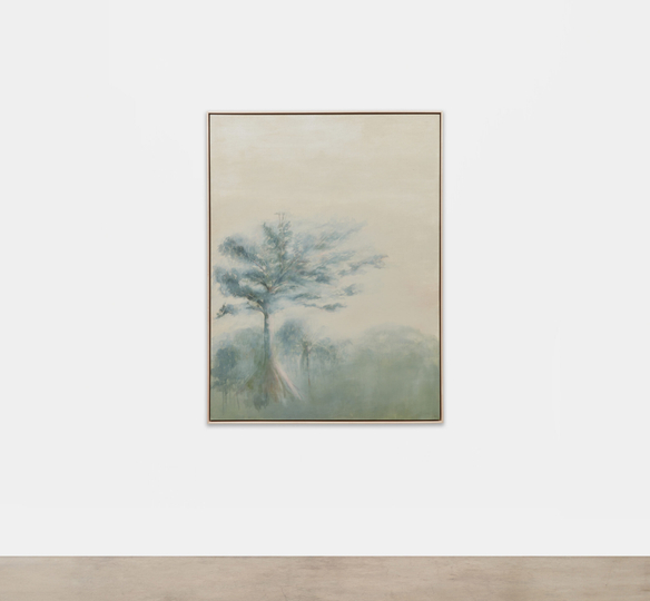 Ana González, a Voice for the Vanishing Forests