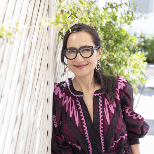 Shahzia Sikander to present hand-painted animation at M+ during Art Basel Hong Kong 2026