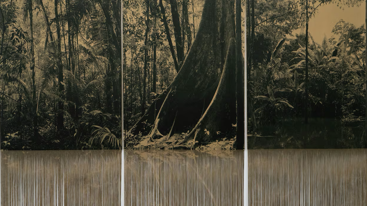 'Rio', by Ana González, at the Sean Kelly Gallery in NY: living body and place of memory