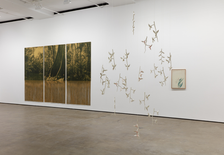 Care as an Infrastructure for Survival