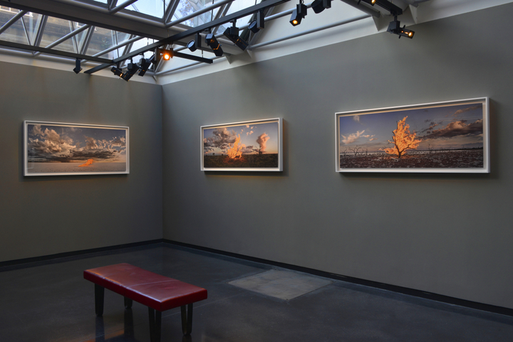 Murray Fredericks: BLAZE