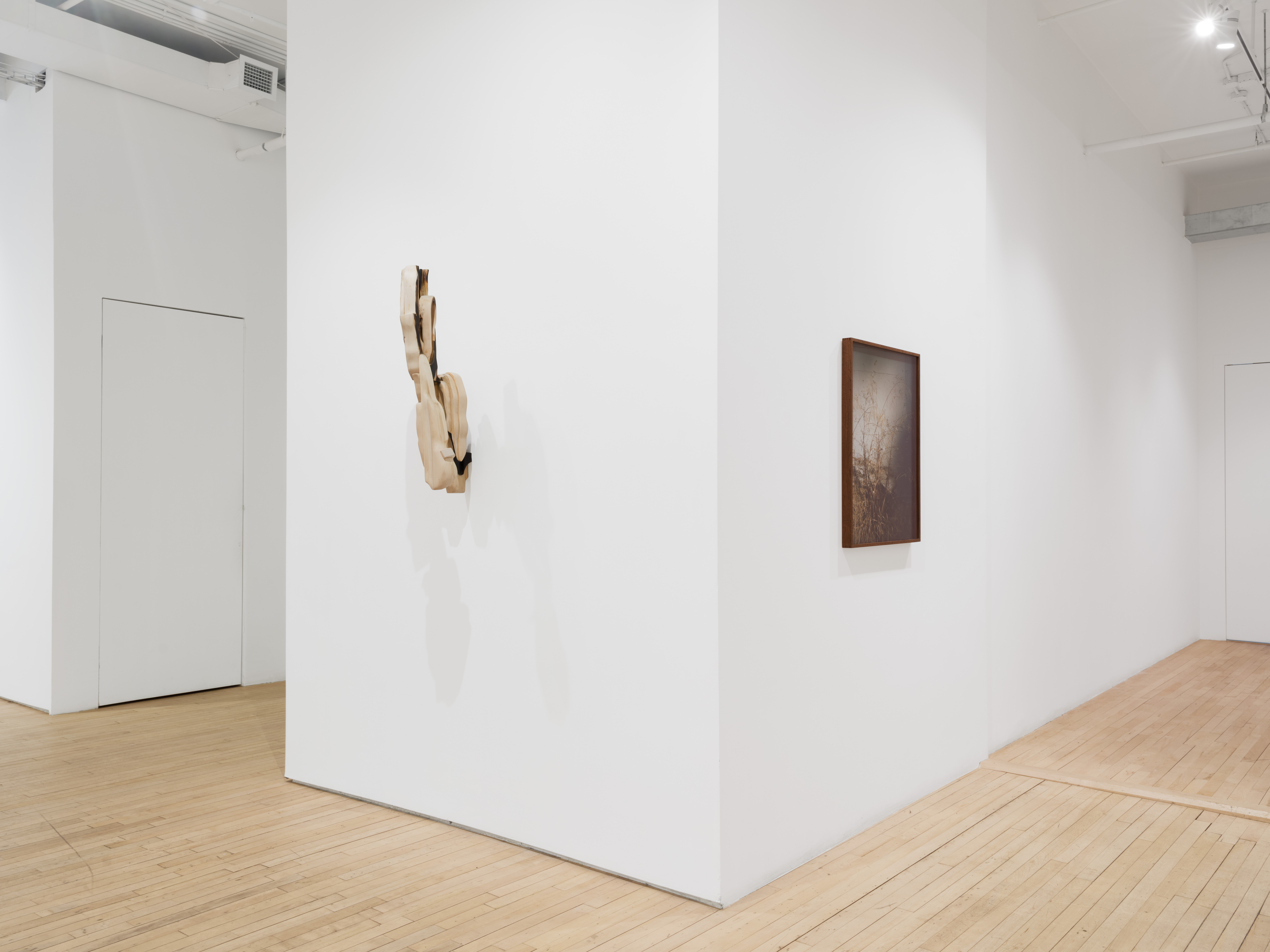 Installation view of "Braided River"