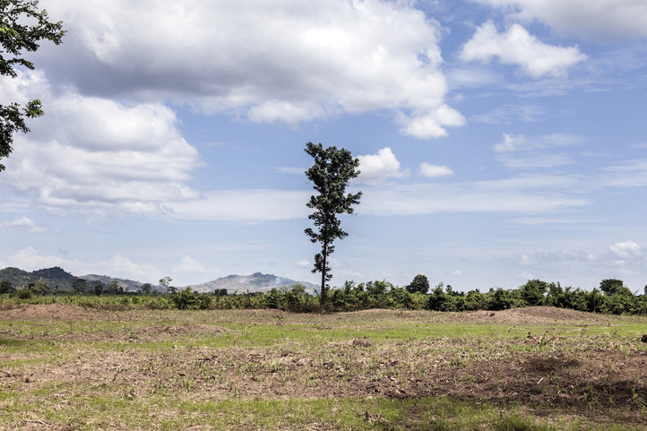 cifo grants comission award