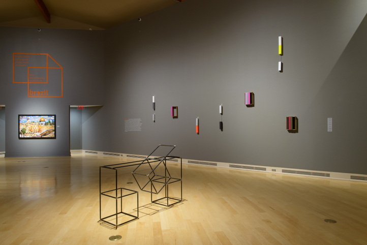 international series: contemporary artists from brazil