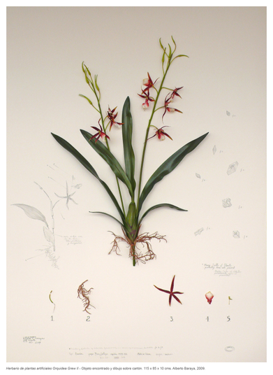 botany under influence