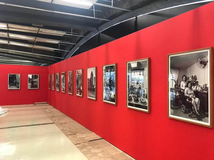 29ª edição do programa de exposições - 1ª mostra 2019