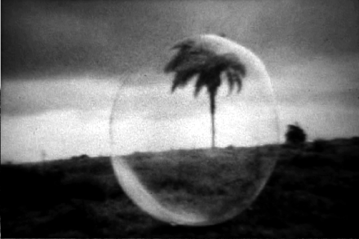 nature: between desire and reality 