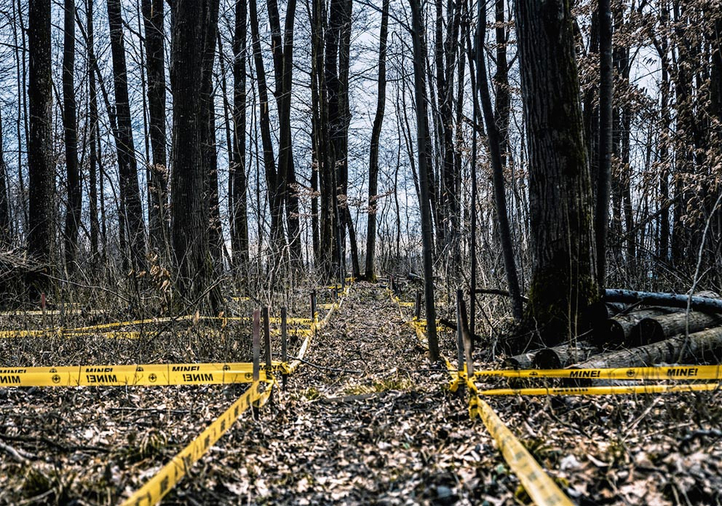 Alice Miceli, Minefields, 2016 