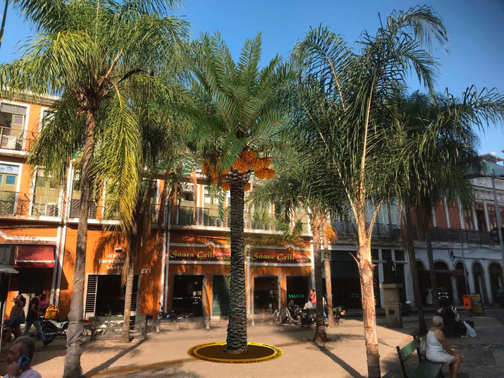 a casa é sua: migração e hos(ti)pitalidade