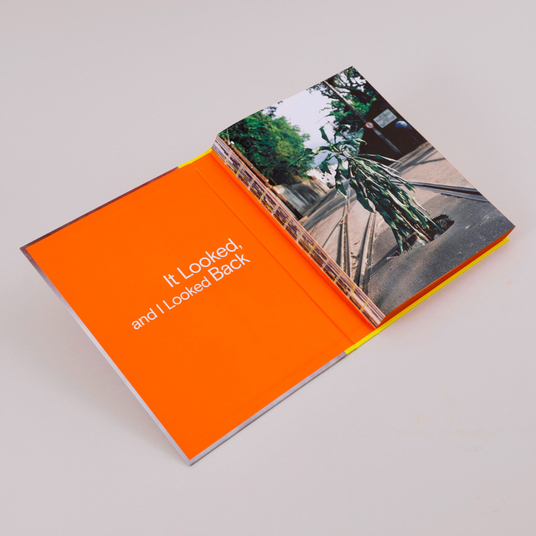 it looked, and i looked back