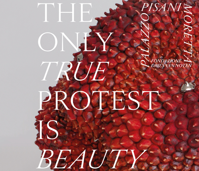 The Only True Protest is Beauty