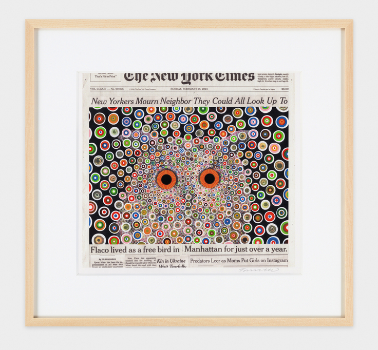Image of FRED TOMASELLI's Flaco, February 25, 2024, 2024