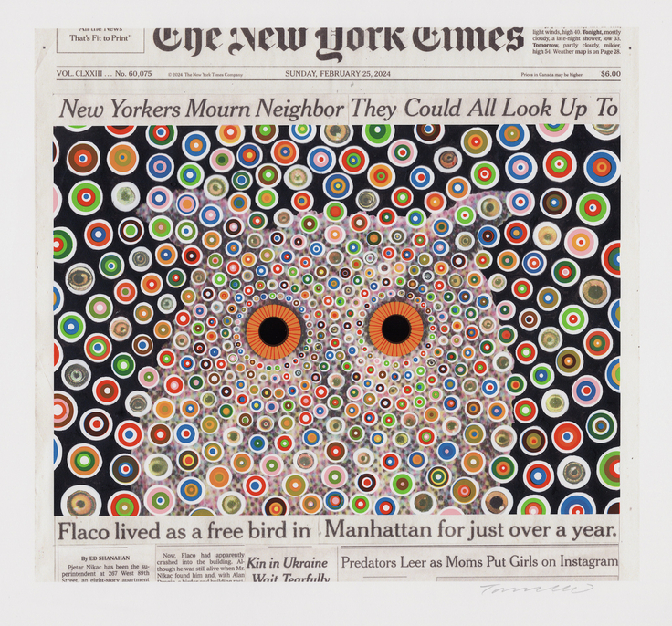 Image of FRED TOMASELLI's Flaco, February 25, 2024, 2024