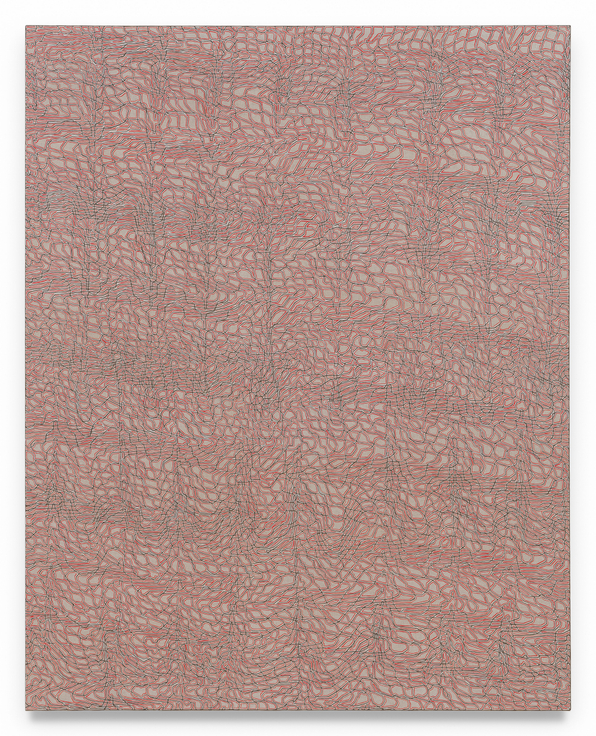 James Siena, Cephaelin, 2025, Acrylic on linen,