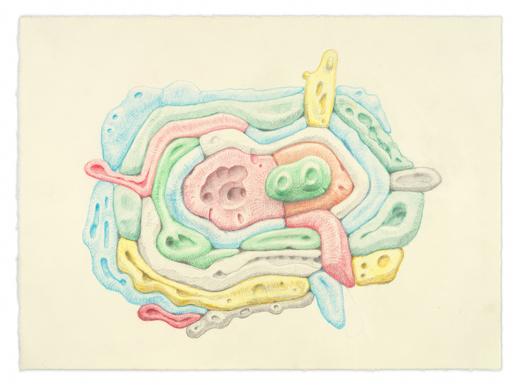 Pale Orbit, 2024, Colored pencil and graphite on paper,