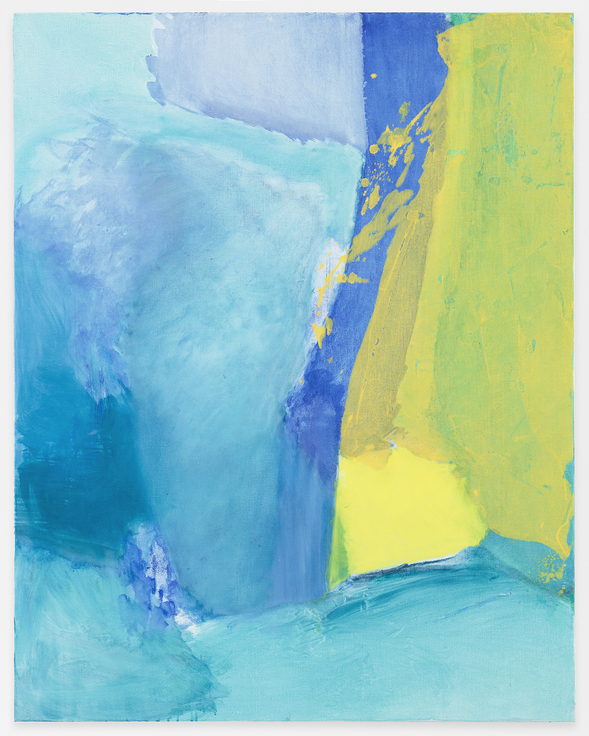 Stump Sprout, 2016, Oil on canvas, 50 x 39 3/8 inches, 127 x 100 cm, AMY#28588