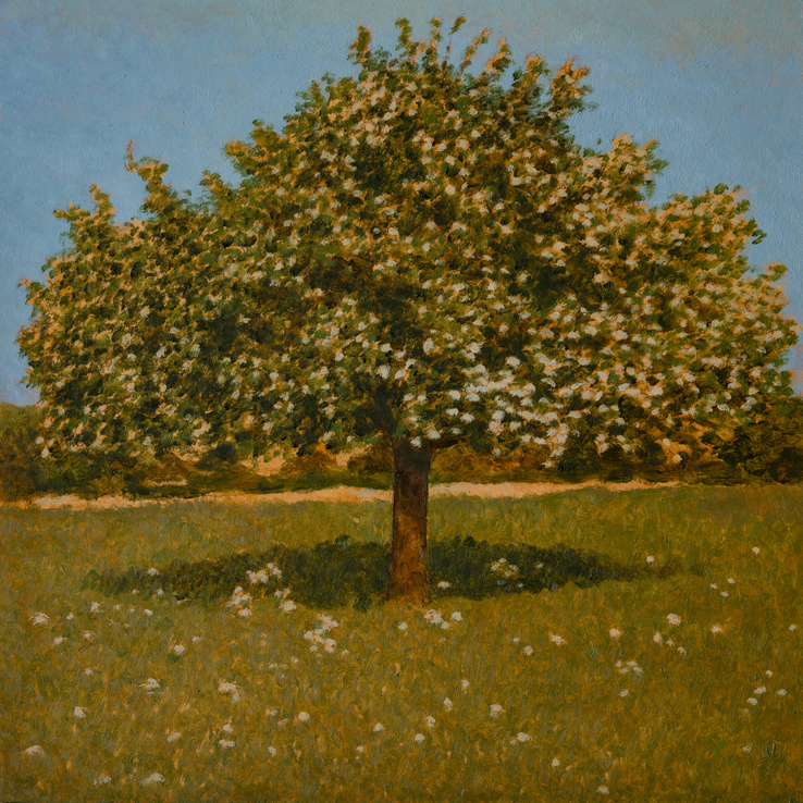 Apple Tree, 2018  Oil on board  35.5 x 35.5 cm