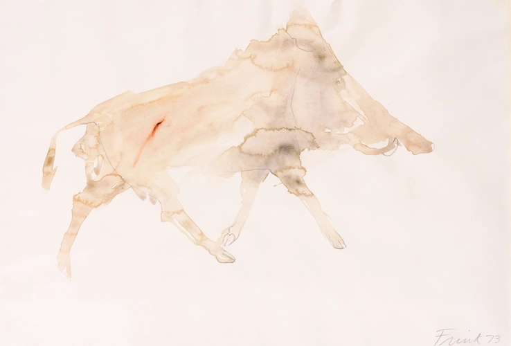 Elisabeth Frink  Wild Boar II, 1973  Watercolour and pencil on paper  41 x 48 cm  Signed and dated lower right recto