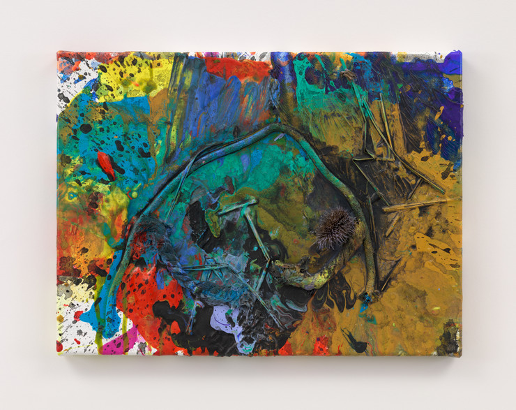 Tim Garwood Woodsia, 2025