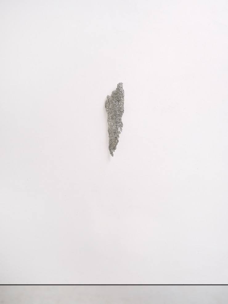 Max Bainbridge Tracer, 2024