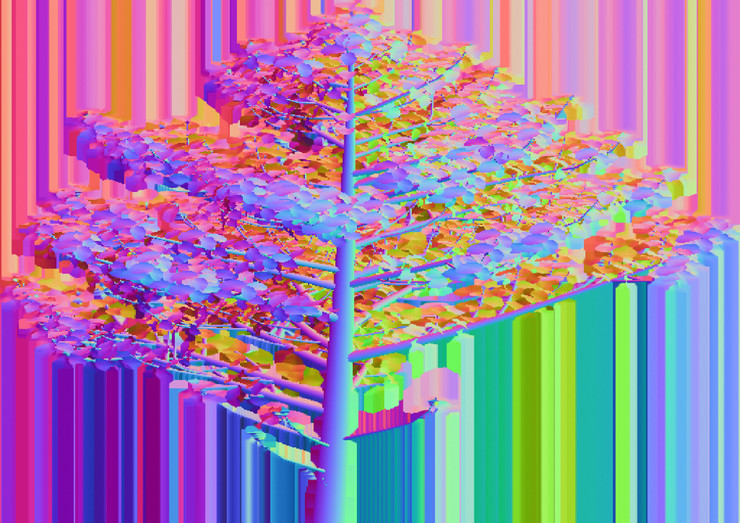 Gibson / Martelli, Silent Spring #3, 2007