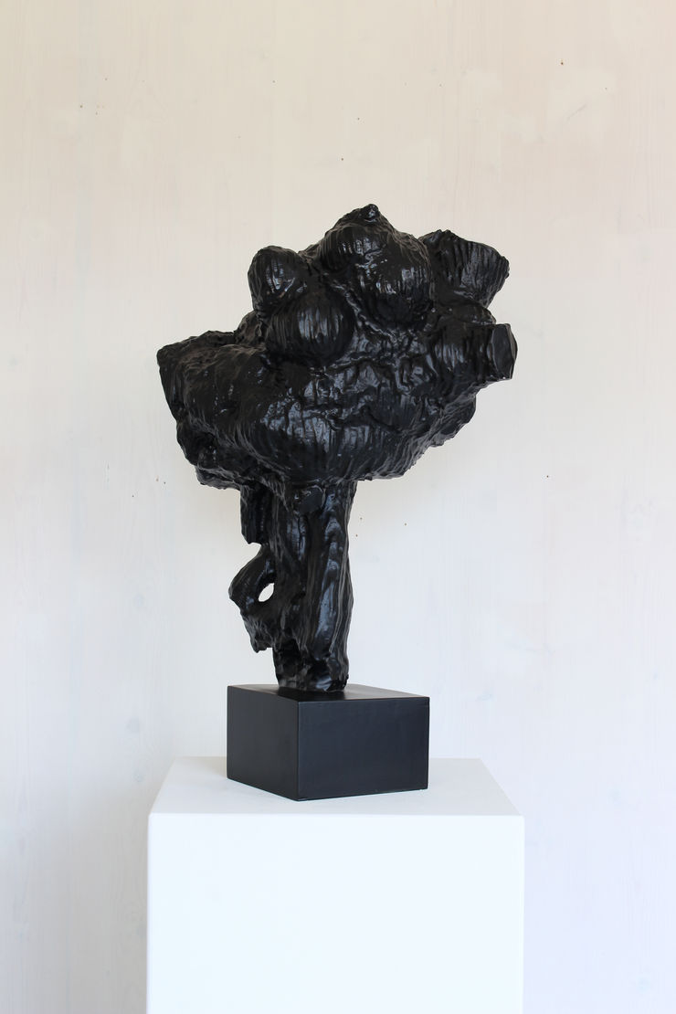 René Odermatt, Portrait Nr. 9, 2012