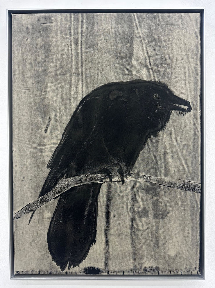 David Noonan, Raven I, 2023