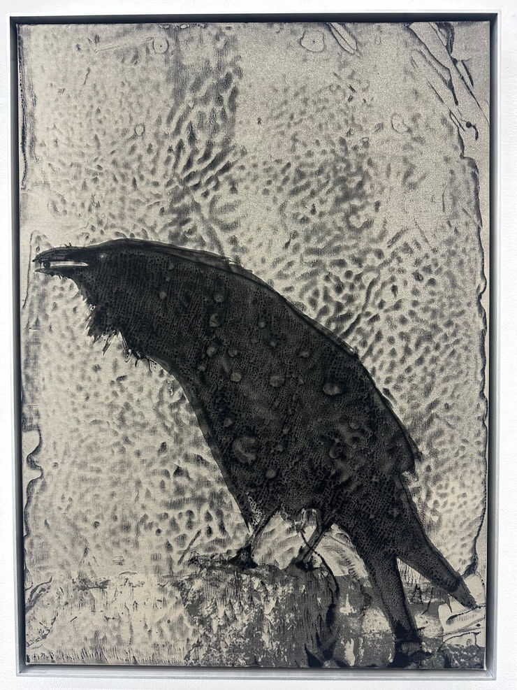 David Noonan, Raven I, 2023
