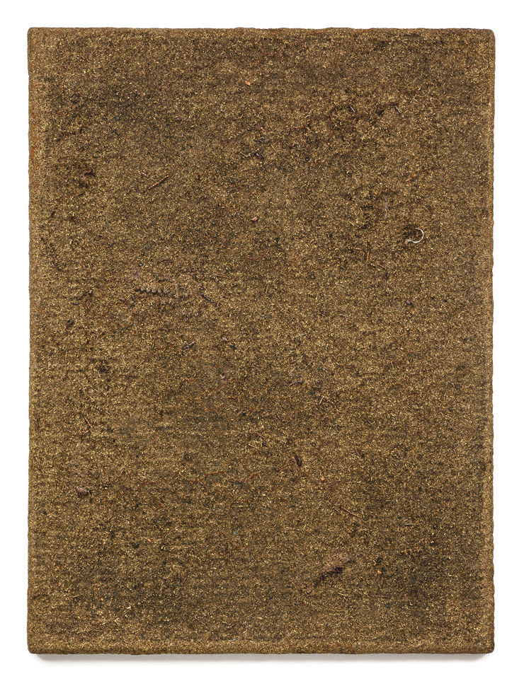 Swarm (Invenire melius mundi)