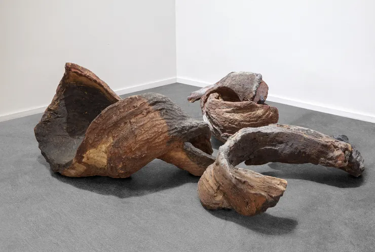 Deriva (Spirale, Nodo, Tangente)