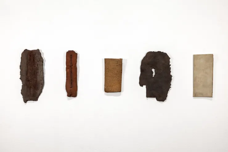 Una materia per Pitagora