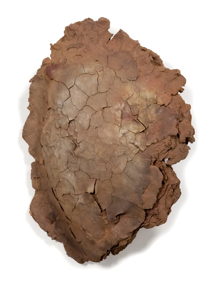 Testa (...dove si racconta)