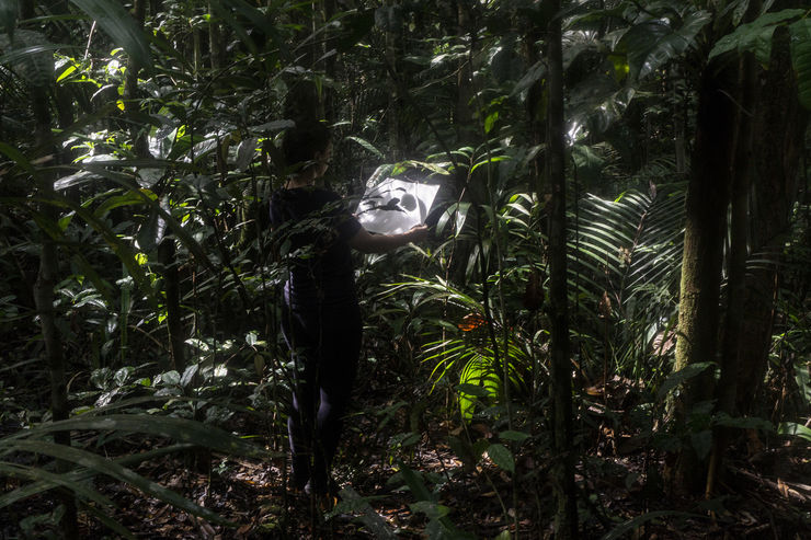 Nathalia Favaro Intervalo, 2018-2019