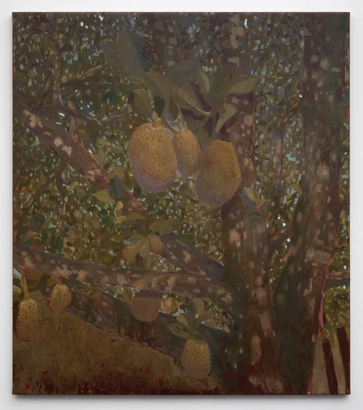 Miguel Afa, Tempo de colher, 2026