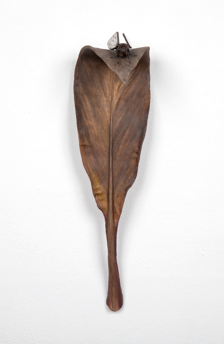 Rodrigo Torres, Da seiva ao canto, 2022