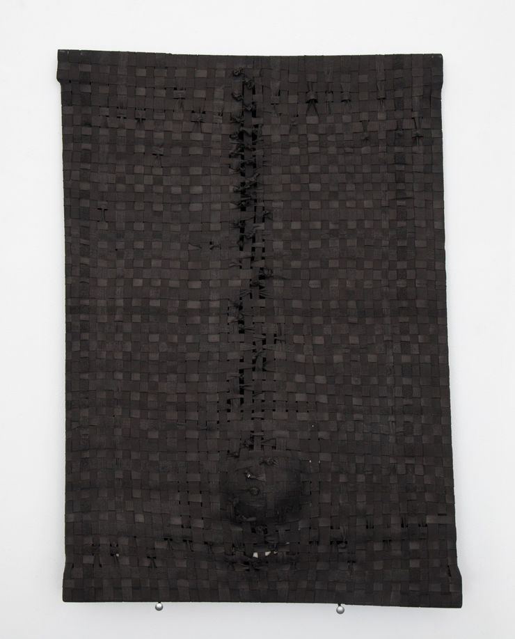 Jarbas Lopes, Pintura Elástica, 2023