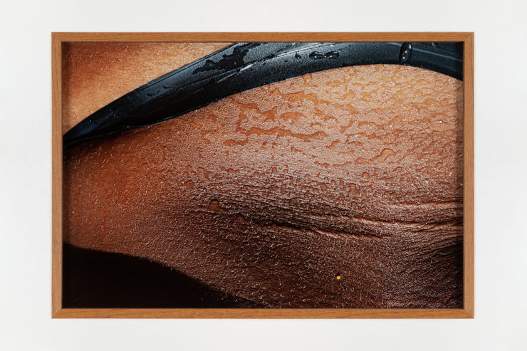 Agrade Camíz, Após a Curva Vire à Esquerda, 2023