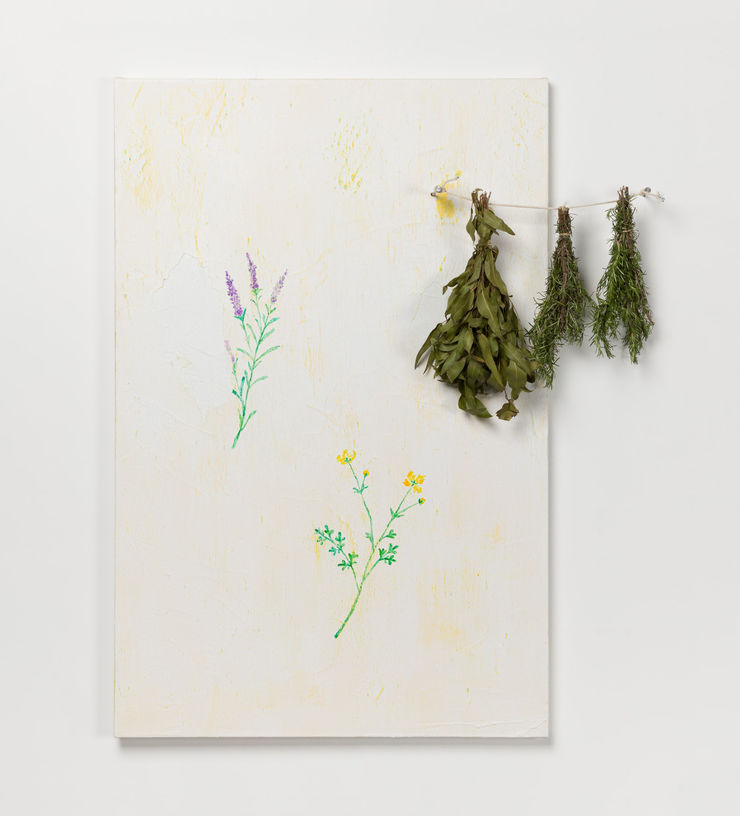 Rose Afefé, Varal de Ervas, 2025