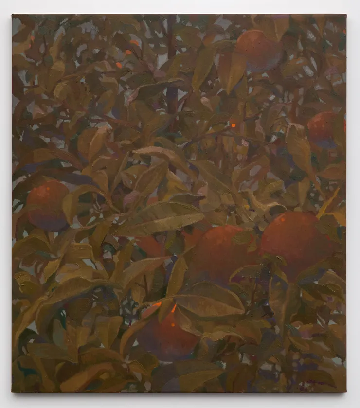 Miguel Afa, Tempo de plantar, 2026