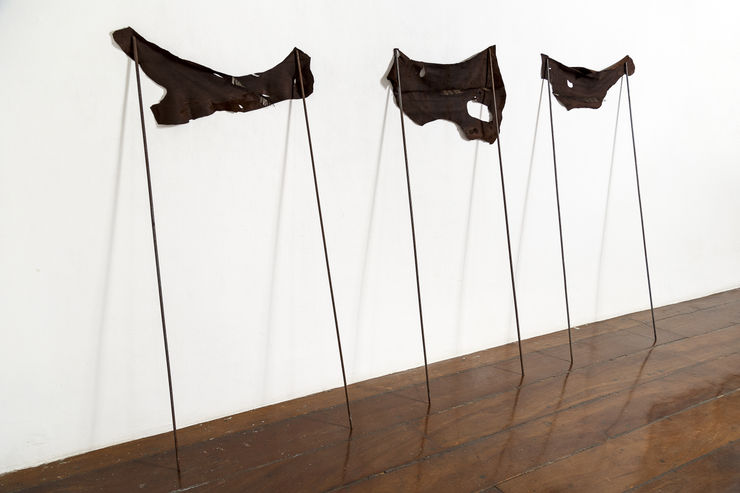 Gilson Andrade Meridianos, 2019