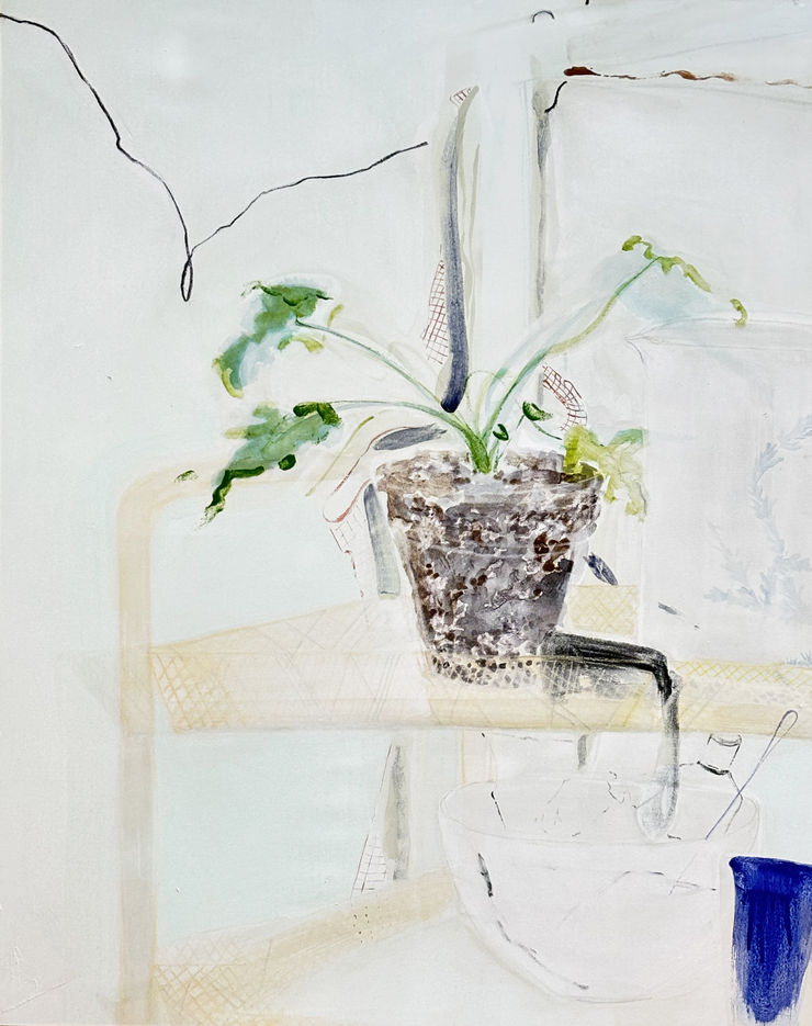 Mai Takeshita, Shelf and electric cable , 2025