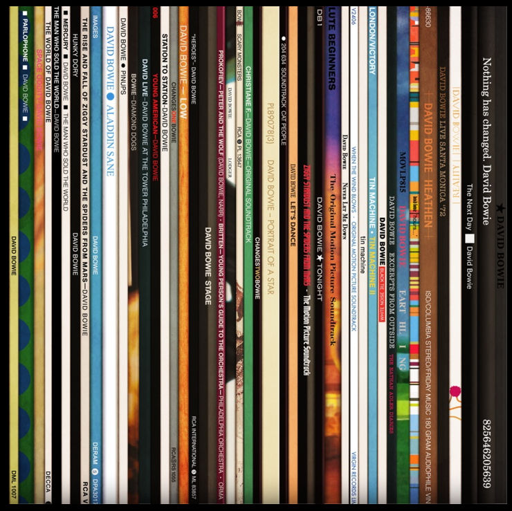 Keith Haynes, Spines 2 – Bowie (Aluminium Dibond)