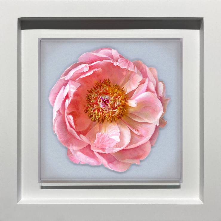 Daniel Bilodeau, Peony, 2023