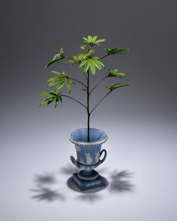 Rodrigues Goncalves - Propagation, 2023-25