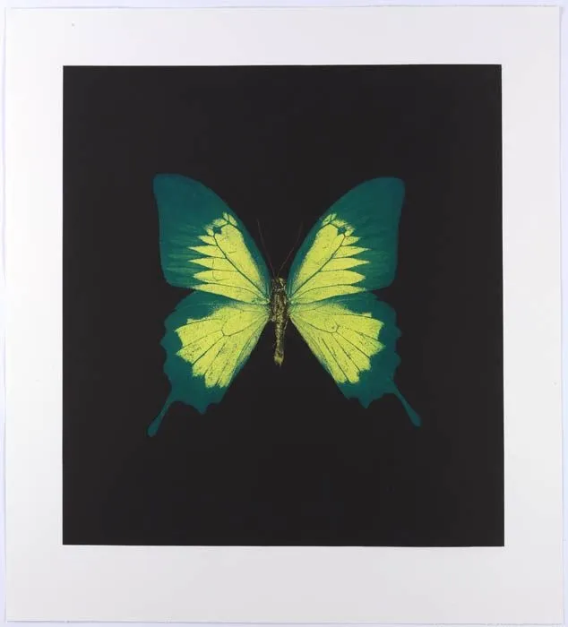 Damien Hirst - Memento 02 (Green and Yellow Butterfly), 2008