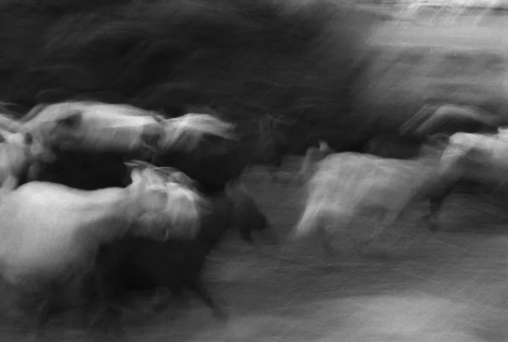 Kiefer Cheung - Flow of Life, 2025