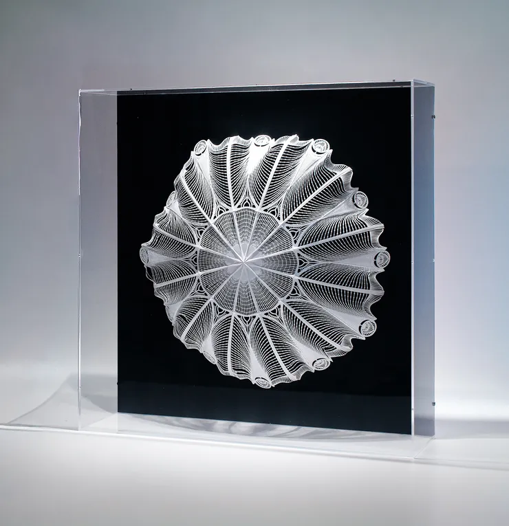 KAMI (Camille Benoit) - Media From Above, 2025