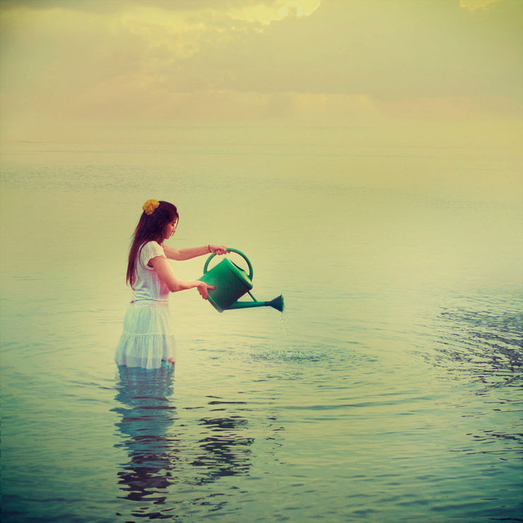 Excess, 2011 Archival Print On Cotton Paper Edition of 5 85 x 85 cm