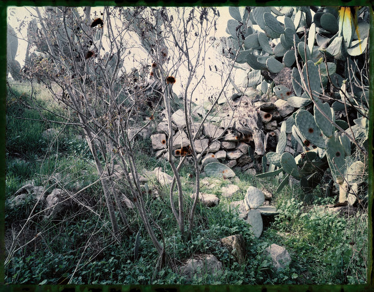 Untitled 7 from For You Mother II series, 2022 Archival Print Edition of 5 78 x 100 cm